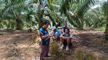 Kasus Pemalsuan Tanda Tangan: Jejak AJB Bermasalah dan Dugaan Penguasaan Lahan Warga Lae Saga, Penyidik Diuji
